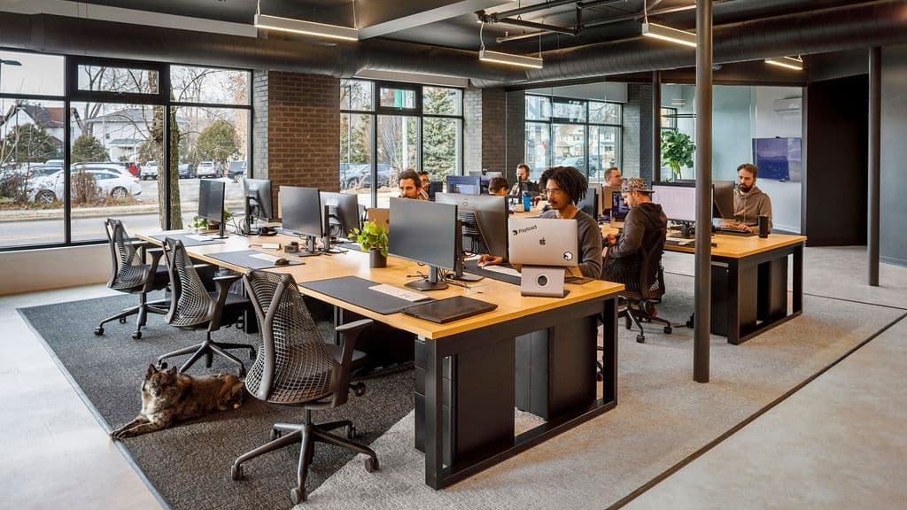 Payload Office