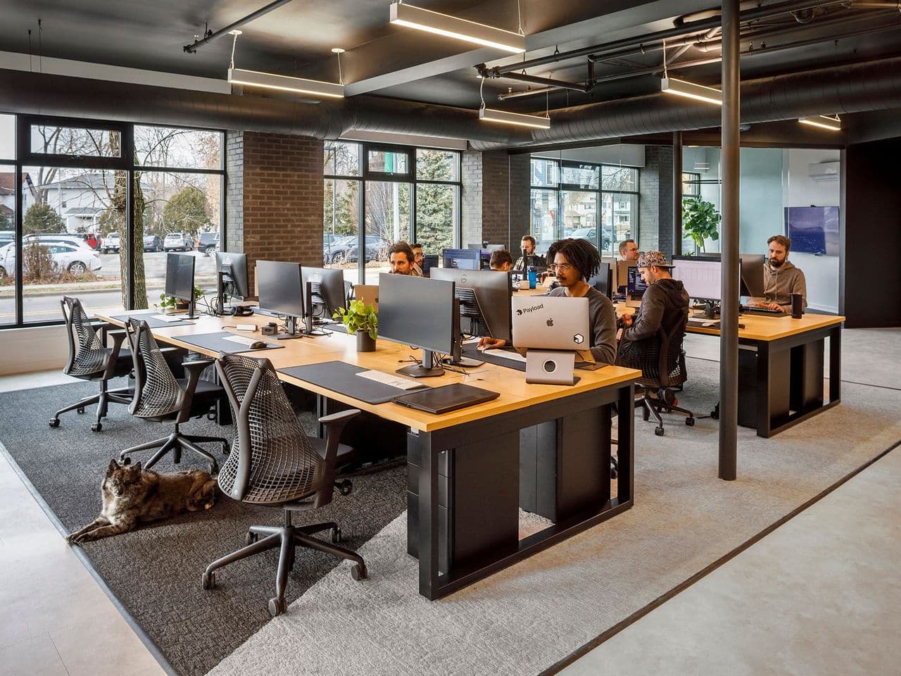 Payload Office