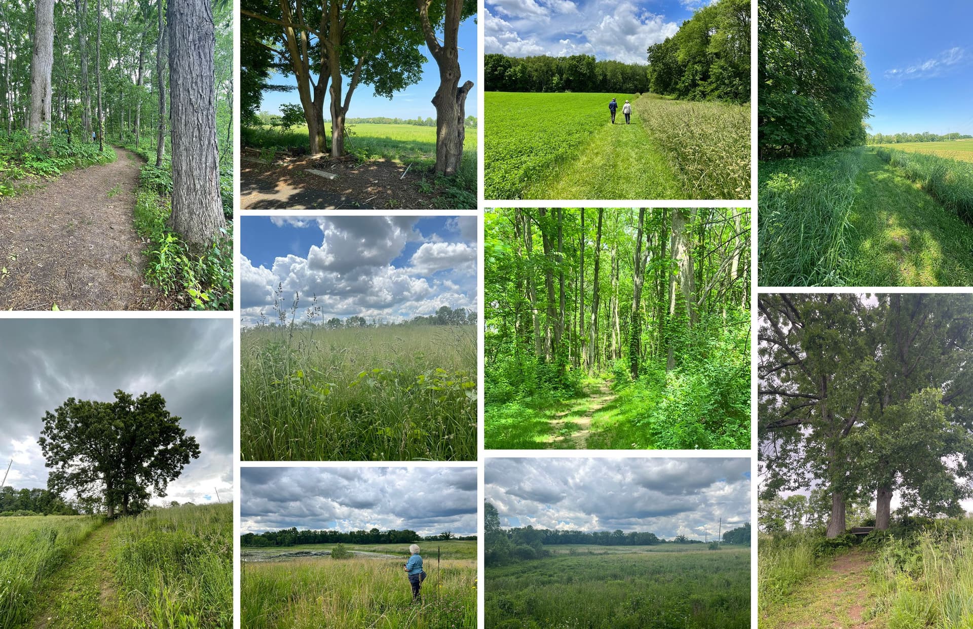 Prairie Pavilion Site Photos